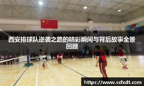 芒果体育登录入口